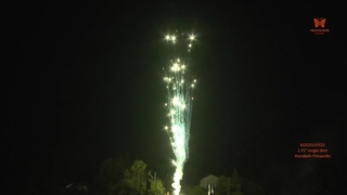 चीनी नव वर्ष क्रिसमस महोत्सव आतिशबाज़ी बनाने की विद्या 1.75 इंच सिंगल शॉट्स आतिशबाजी