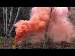 लियुयांग से शक्तिशाली रंगीन धुआं बम आतिशबाजी 15*20*100 मिमी