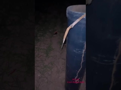 चीनी नए साल के उत्सव के लिए पेशेवर आतिशबाजी 6 इंच की गेंद डिस्प्ले शेल