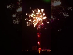 लियुयांग आतिशबाज़ी आतिशबाजी 196 शॉट्स पेशेवर केक आतिशबाजी विशेष प्रभाव शो