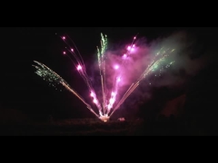 चीनी पिरोटेक्निक आउटडोर 300 शॉट पेशेवर आतिशबाजी प्रदर्शन 1.3g प्रशंसक के आकार का