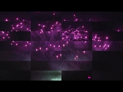 लियुयांग मंदारिन केक पिरोटेक्निक 208 शॉट पेशेवर प्रदर्शन आतिशबाजी 1.3 ग्राम