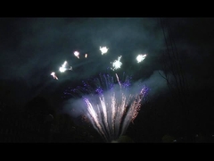 मंदारिन डिस्प्ले 90 शॉट सलामी पिरोटेक्निक पार्टी के लिए पेशेवर केक आतिशबाजी