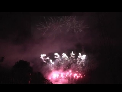 लीउयांग 56 शॉट पेशेवर आतिशबाजी प्रदर्शन 1.3g Un0335 त्योहार समारोह के लिए