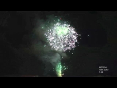 एएफएसएल अनुकूलन योग्य 100 शॉट उत्सव समारोह के लिए पेशेवर केक आतिशबाजी