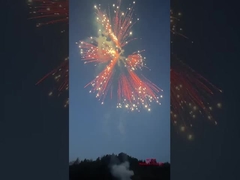 लियुयांग सिल्वर पोनीटेल फायरवर्क केक 2024 चीनी कारखाने पटाखे और पटाखे उपभोक्ता केक