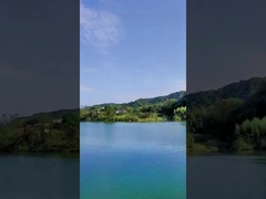 दिन के समय 49 शॉट्स चीनी केक आतिशबाजी रंगीन धुआँ आतिशबाजी समारोह के लिए