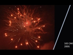 मंदारिन 2021 नई 16 शॉट 200 ग्राम केक उत्सव पार्टी के लिए आतिशबाजी