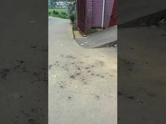 जादुई गेंदें खिलौना आतिशबाजी 0.03CBM उत्सव की सभाओं के लिए पर्यावरण संरक्षण