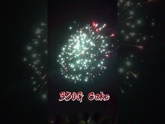 चीनी कारखाने 500G 15 शॉट्स उपभोक्ता केक आतिशबाजी Liuyang कस्टम आतिशबाजी निर्यात आपूर्तिकर्ता