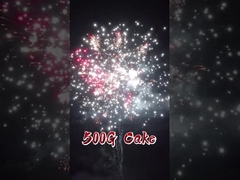 लियुयांग फैक्ट्री 20 शॉट केक आतिशबाजी चीनी थोक निर्यात शादी के लिए पिरोटेक्निक