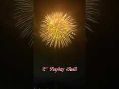 त्यौहार और उत्सव 2