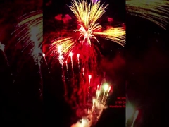 कारखाने Liuyang मंदारिन अनुकूलित 178 शॉट्स पिरोटेक्निक 1.4G उपभोक्ता केक नए साल के लिए आतिशबाजी