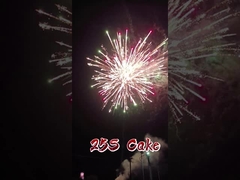 लियुयांग मंदारिन फैक्ट्री थोक कागज आतिशबाजी 1.4 ग्राम पिरोटेक्निक 2 इंच 25 शॉट केक आतिशबाजी