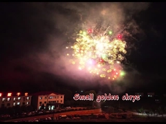 नई आगमन आतिशबाजी