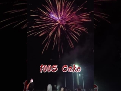 2025 चीनी फैक्टरी 100 शॉट्स पेपर केक आतिशबाजी FAFBWL थोक आतिशबाजी नई आतिशबाजी