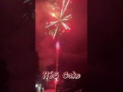 लियुयांग कारखाना 116 शॉट आतिशबाजी थोक आतिशबाजी चीनी आउटडोर केक आतिशबाजी