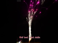 चीनी गर्म आतिशबाजी वुल्फ हुल और गुलाबी दालिया आउटडोर थोक केक मानक आतिशबाजी केक