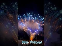 कारखाना 0.8 इंच 300 शॉट 1.3 ग्राम पेशेवर केक आतिशबाजी प्रदर्शन आतिशबाजी पिरोटेक्निक सलामी