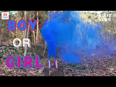 चीनी फैक्टरी दिन के समय शादी हैंडहेल्ड रंगीन धुआं फ्लेयर आतिशबाजी पार्टी लिंग प्रकट धुआं बम