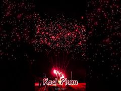 लियूयांग आतिशबाजी आपूर्ति 56 शॉट्स सलामी आउटडोर केक बैटरी लाल बेर आतिशबाजी आतिशबाजी