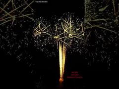 100 शॉट्स फेस्टिवल केक आतिशबाजी प्रदर्शन कार्यक्रम आउटडोर पेशेवर आतिशबाजी 1.3G आतिशबाजी