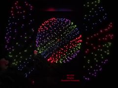 लियूयांग फैक्ट्री प्रोफेशनल आतिशबाजी 1.3G Un0335 आतिशबाजी 2