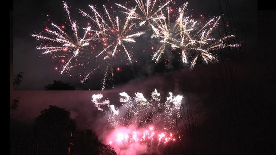 Liuyang 56 Shots Professional Fireworks Display 1.3g Un0335 For Festival Celebration
