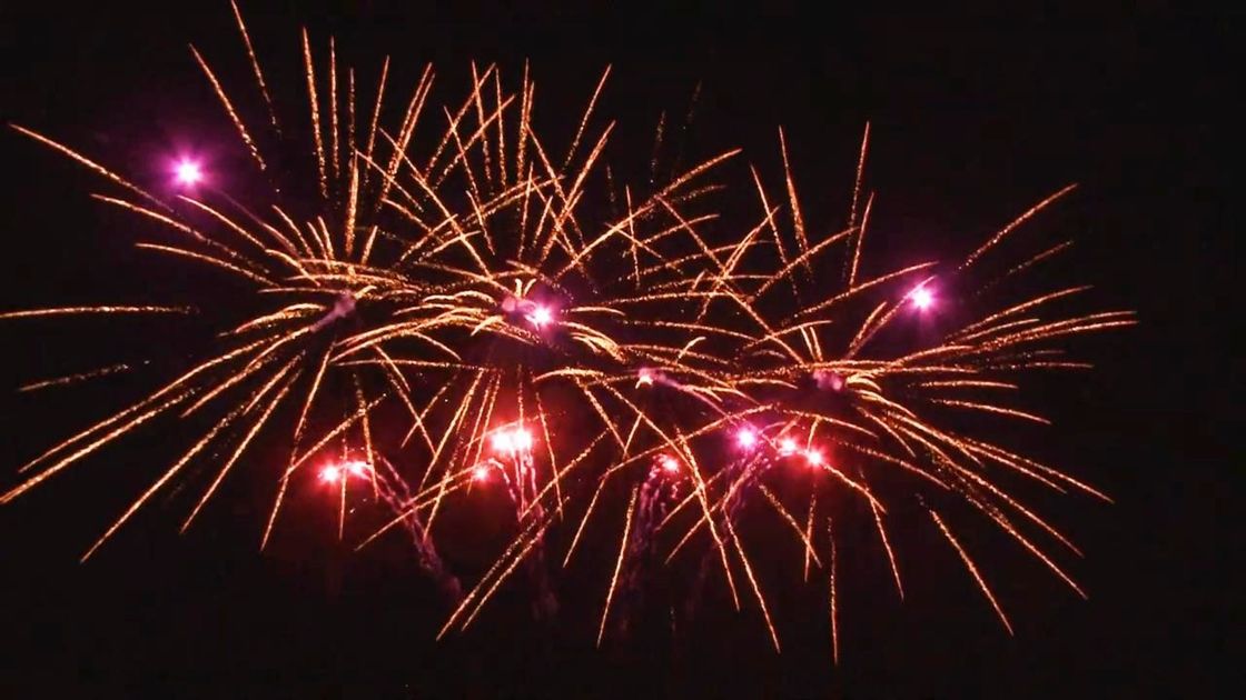 Outdoor 20 Shots Celebration Cake Pyrotechnics Fan Shaped Customized 1.4g