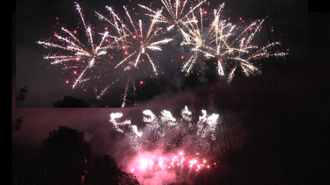 Liuyang 56 Shots Professional Fireworks Display 1.3g Un0335 For Festival Celebration