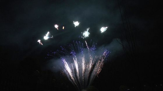 मंदारिन प्रदर्शन 90 शॉट्स पार्टी के लिए आतिशबाज़ी बनाने की विद्या पेशेवर केक आतिशबाजी सलामी