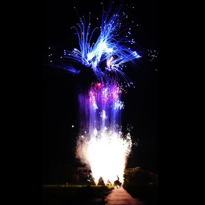 चीनी अनुकूलित 100 शॉट्स पिरोटेक्निक उपभोक्ता केक नए साल के लिए आतिशबाजी