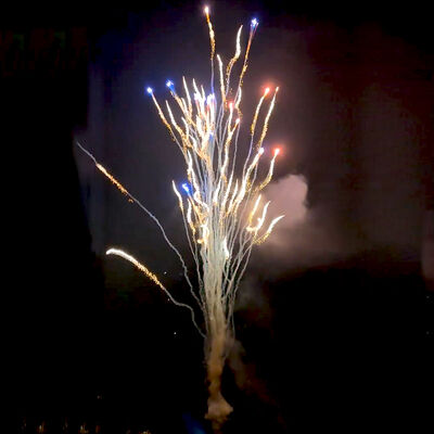 चीनी फैक्टरी कस्टम 100 शॉट्स वुल्फ हाउल्स केक आतिशबाजी थोक आतिशबाजी नए साल क्रिसमस शादी समारोह के लिए नए आतिशबाजी