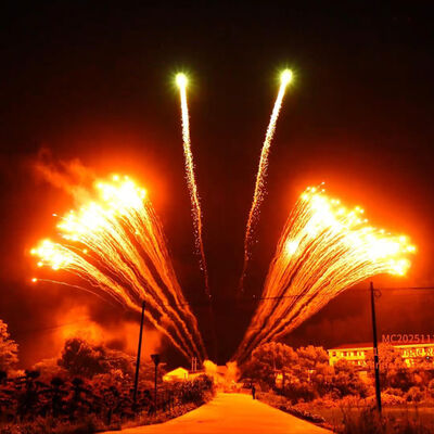 लियूयांग फैक्ट्री 1.3G प्रोफेशनल 12 शॉट्स सिंगल रो आतिशबाजी डिस्प्ले चीनी थोक महोत्सव नए आतिशबाजी आतिशबाज़ी