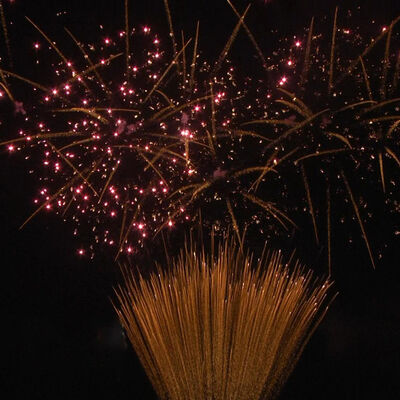 1.2 इंच 100 शॉट्स केक आतिशबाजी 1.3G प्रोफेशनल UN0335 प्रमाणित पायरोटेक्निक्स बाहरी समारोहों के लिए